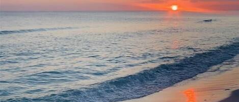 Appart'hôtel, plusieurs lits (Choose Memories Seacove 10H) | Plage