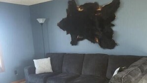 A living room with a dark grey sectional sofa, a small ottoman, and a black animal hide mounted on the wall. - LaCreek Lodge-5 beds (Martin)