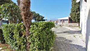 A paved pathway with a palm tree and green bushes on the left, a modern building with a glass facade on the right, and a clear blue sky. - VILLA ROSSELLA 2 Studio (La Rosa) (Rovinj)