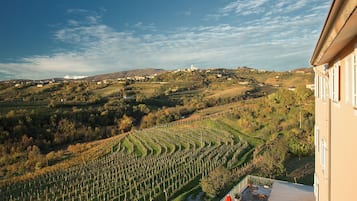 Vista dalla struttura