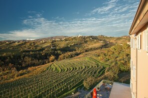 View from property - Hotel Kozana (Brda)