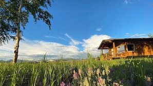 Une cabane en bois dotée d’un porche, entourée d’herbes hautes et de fleurs violettes, se dressant sur un fond de ciel bleu azur.