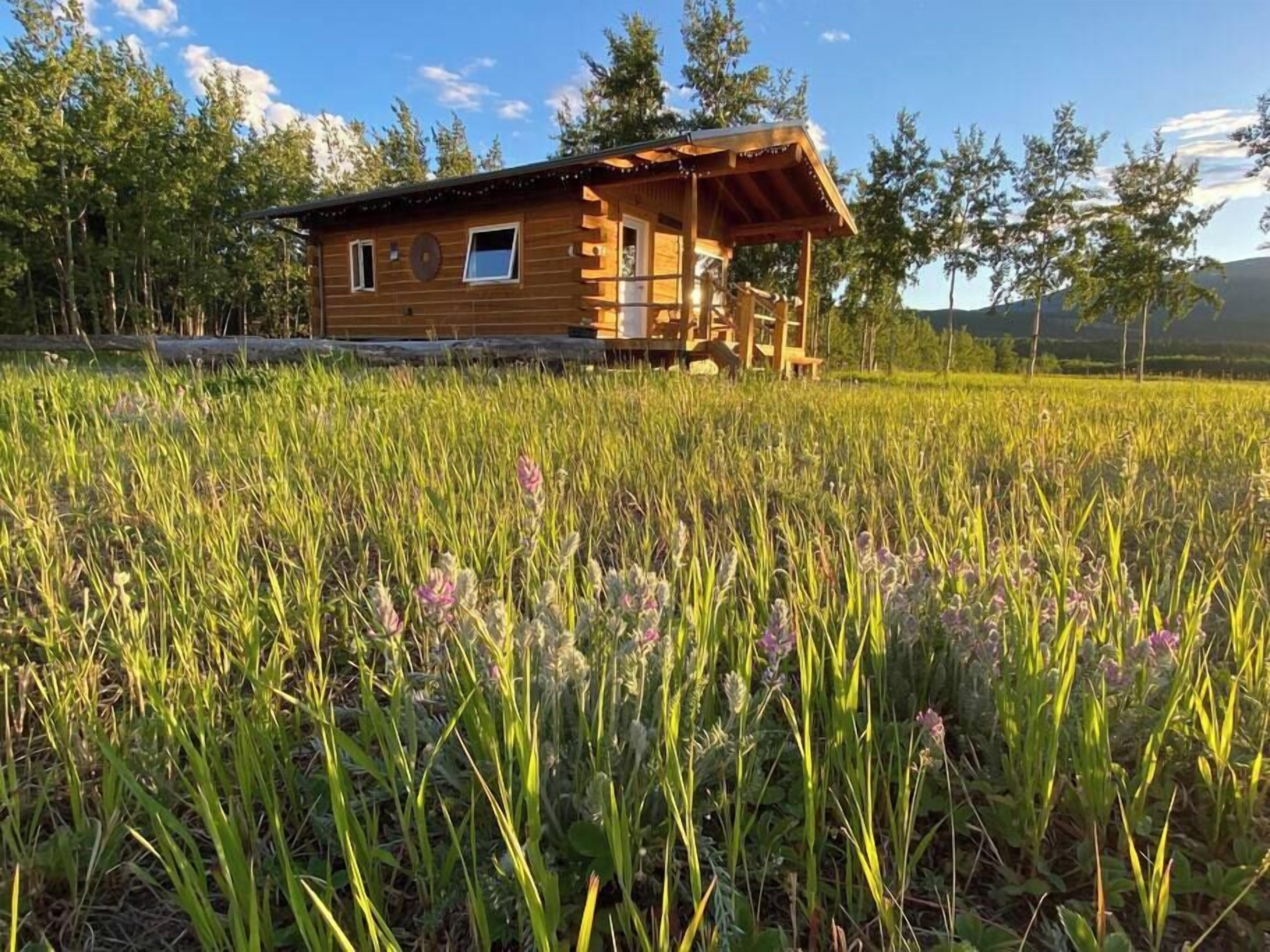 Una cabaña de madera con porche, rodeada por un campo de hierba alta y flores silvestres.