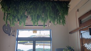 Een kamer met een groot raam, een plafondventilator, hangende planten en uitzicht op een wateroppervlak.