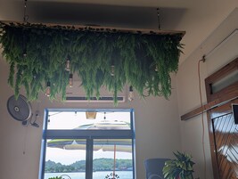 Se sirven desayunos, almuerzos y cenas; cocina mexicana