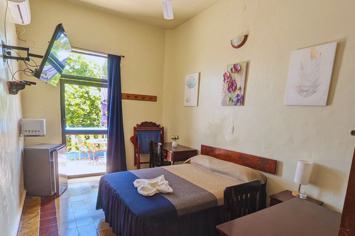 Een kamer met een bed, een bureau, een stoel, een televisie en een kleine koelkast.