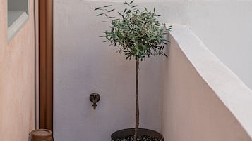 Studio Design, vue ville