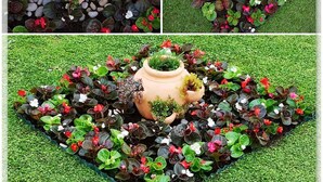 A garden with a central pot surrounded by various plants and flowers. - 5 Double room Villa Kate Dadić (Dubrovnik)
