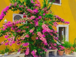 Detalle del exterior