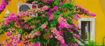 Rooms Mozara 2 Double room with private external bathroom