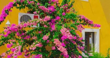 Rooms Mozara Double room 3 with private external bathroom