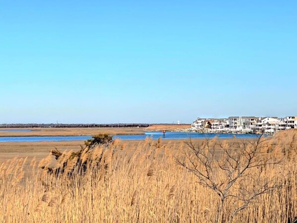 Strand