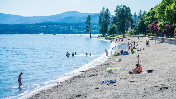 A beach with people swimming and sunbathing, a sandy shore, and trees in the background.