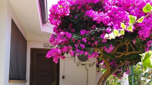 An outdoor seating area with a table and chairs, a potted plant, and a tree with pink flowers. - Double room with private bathroom (Santa Domenica di Ricadi)