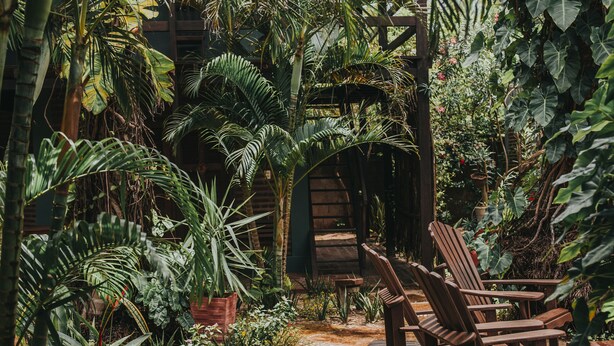 Una terraza de madera con sillas rodeada de exuberante follaje tropical.