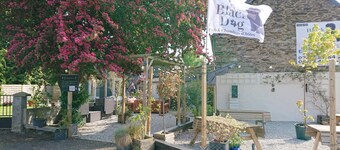 Le Black Dog 3 (1ere étage)