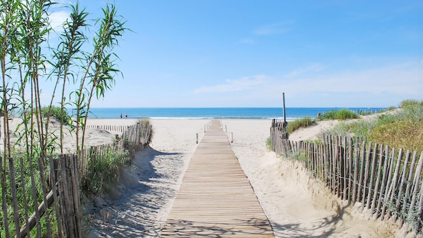 A wooden boardwalk leading to a beach with bamboo plants on either side. - Lovely home in Saint-Laurent-de-la-Ca with WiFi (Saint-Laurent-de-la-Ca)