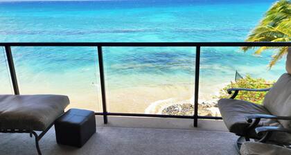 5BR/4BA - OCEANFRONT at NOHONANI. Endless Ocean Views w/ pool and private beach!
