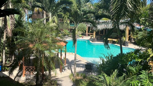 Ein Pool, umgeben von Palmen und einer Struktur mit einem Reetdach.