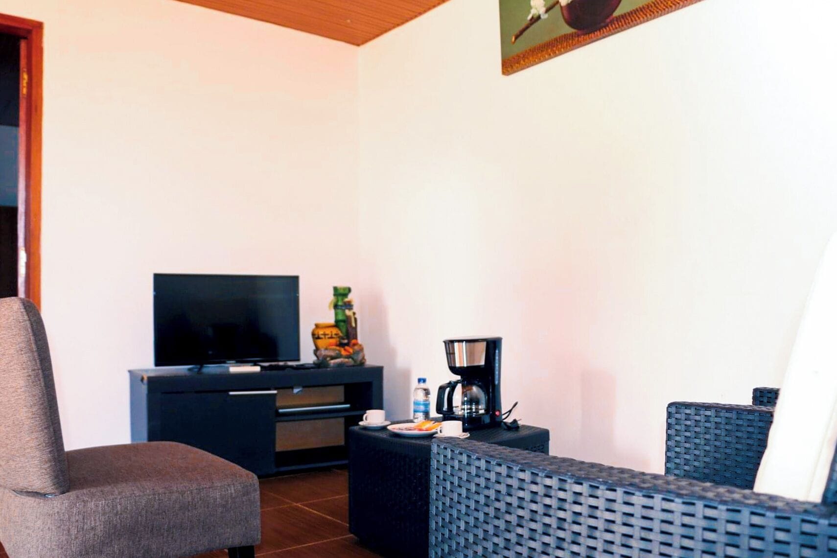 A living room with a TV, a coffee maker, and a sofa.