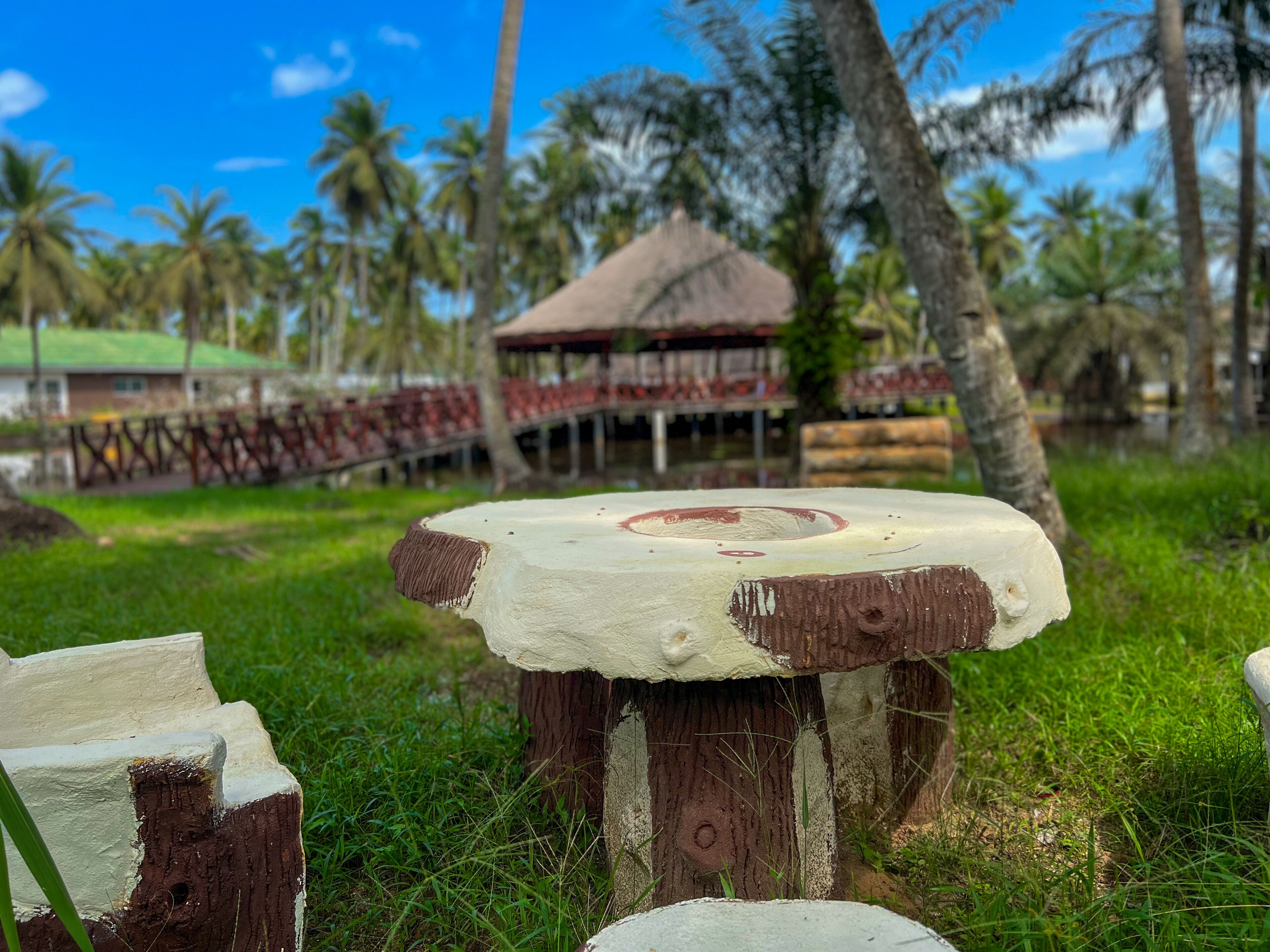 A wooden stool with a white top and brown base, surrounded by grass and palm trees.