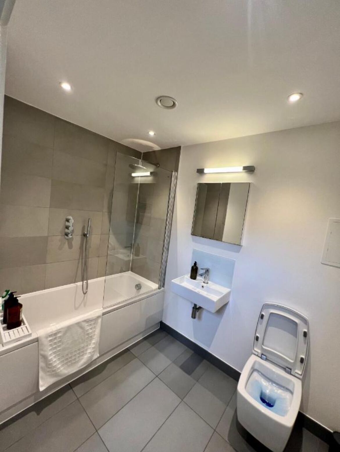 Hair dryer, towels, toilet paper