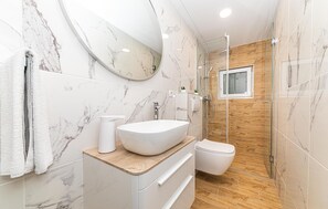 Shower, hair dryer