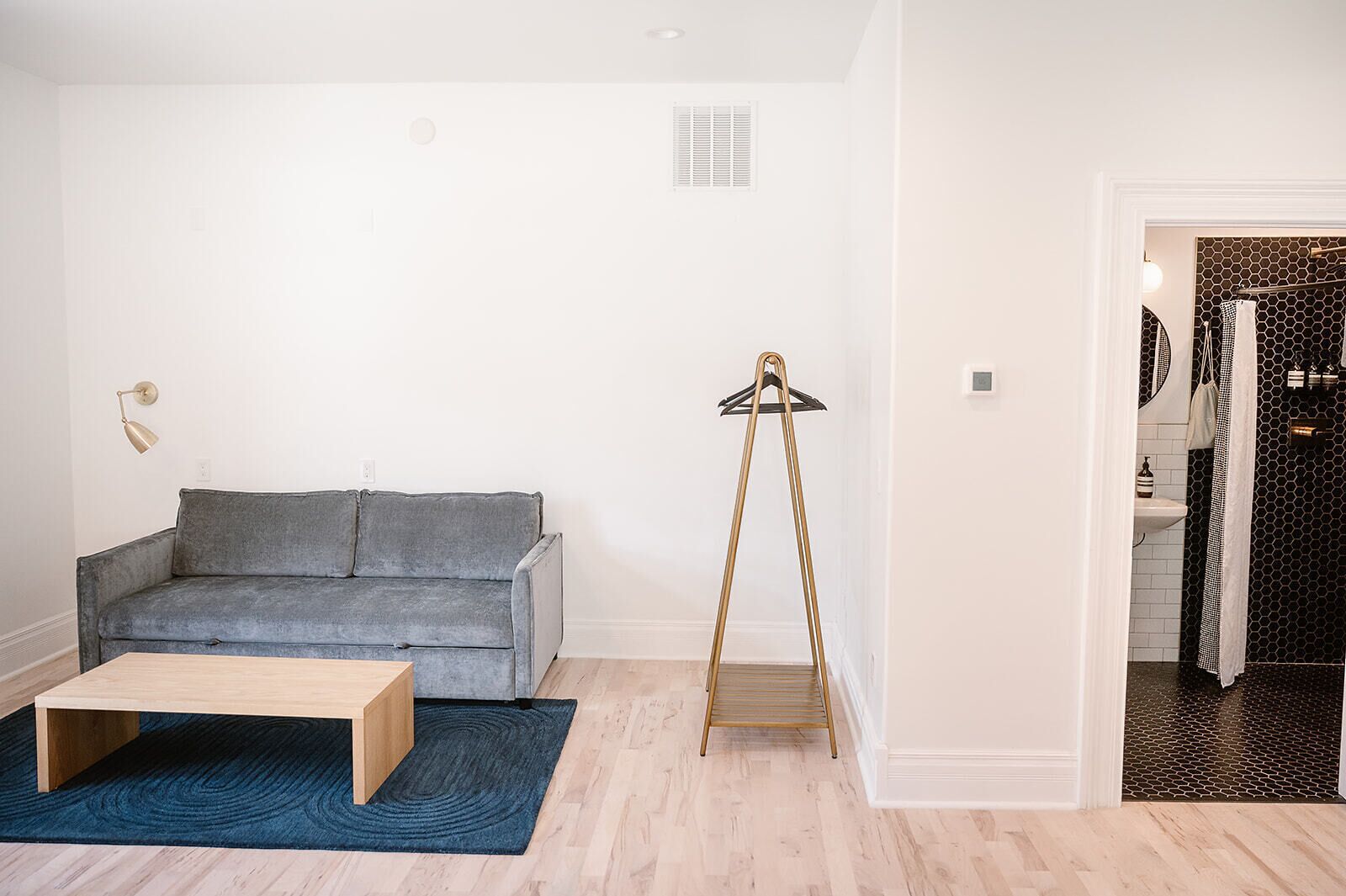 A living room with a grey sofa, a wooden coffee table, and a blue rug.