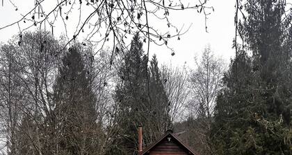 Elk Track Cabin, a Secluded 2-bedroom cabin with WiFi, AC in serene Randle