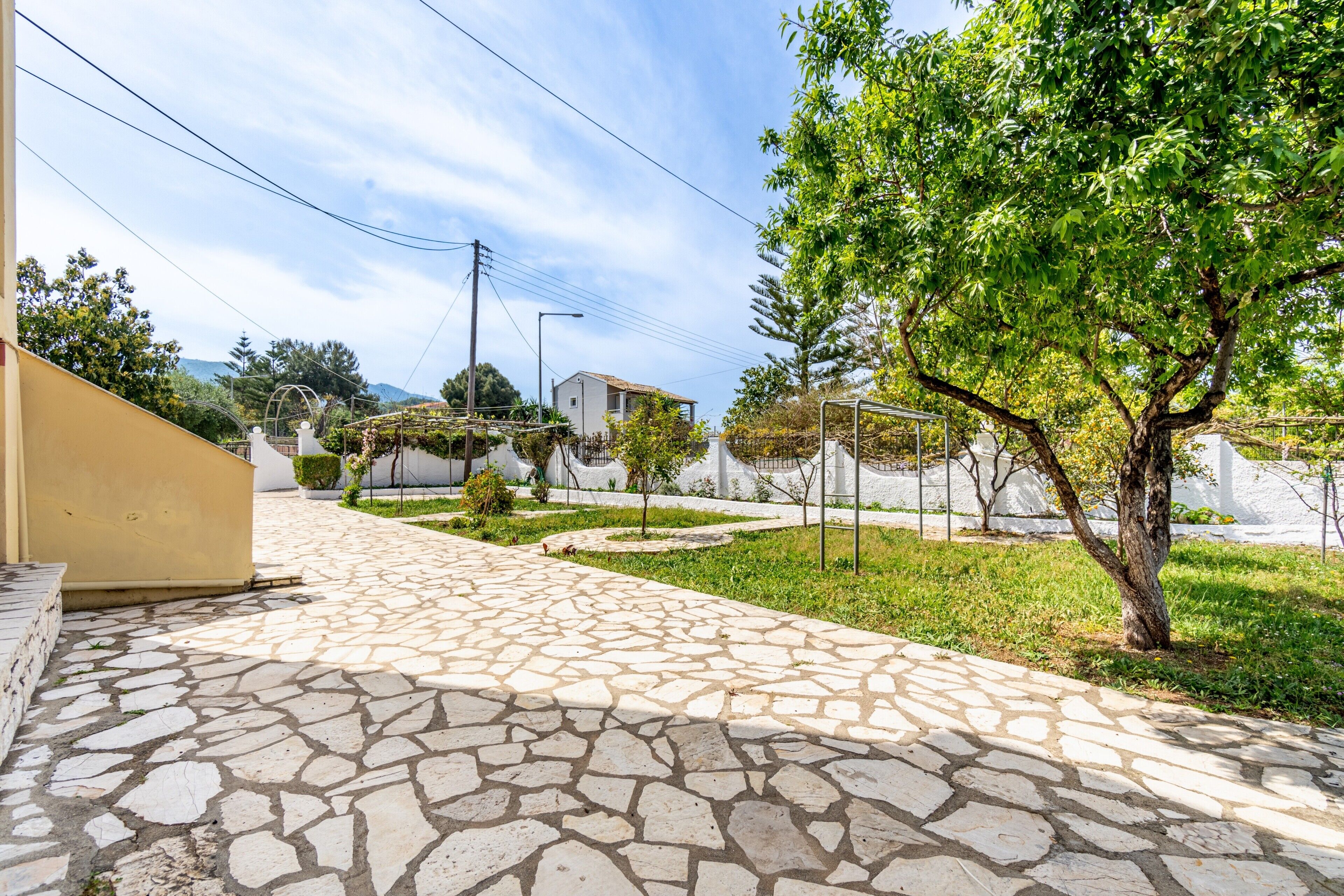 A paved courtyard with stone tiles, a tree, and a building in the background.