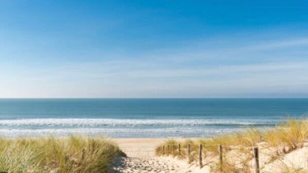 Una spiaggia con un sentiero sabbioso che conduce verso l'oceano, circondata da erba e una recinzione in legno.