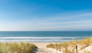 A beach with a sandy path leading to the ocean, surrounded by grass and a wooden fence. - Holiday Home 'Cap Ferret Ocean' with Shared Terrace (Lège-Cap-Ferret)