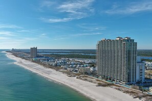 On the beach - BEACHFRONT LUXURY, INDOOR/OUTDOOR POOL AND SAUNA, FAMILY FRIENDLY (Orange Beach)