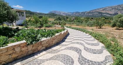 Villa Biriculi surrounded by nature