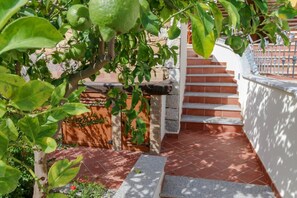 Property grounds - Monte Ruiu House with garden (Cala Gonone)