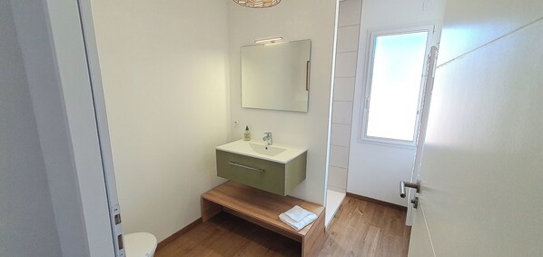 Shower, hair dryer, towels, soap