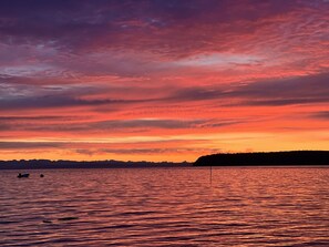 Shower, soap, shampoo, toilet paper - Modern Savary Island Cottage – Perfect Family Getaway & Kids’ Favorite! (Savary)