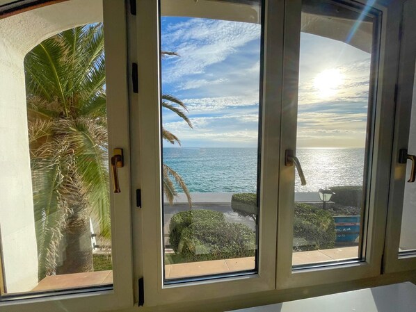 A window with a view of the ocean and a palm tree.