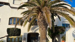 Un bâtiment blanc avec un palmier devant, un escalier et des plantes en pot.