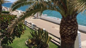 Une promenade en bord de mer, agrémentée d’un palmier, d’une piscine et offrant une vue sur la mer.