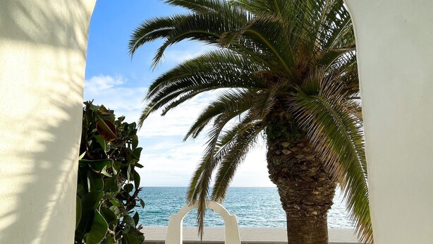 Une vue d’une plage avec un palmier et une structure blanche surmontée d’une arche.