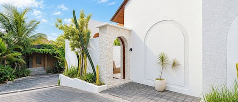 A courtyard with a paved walkway, a white building with a stone wall, and various plants including cacti and palm trees.