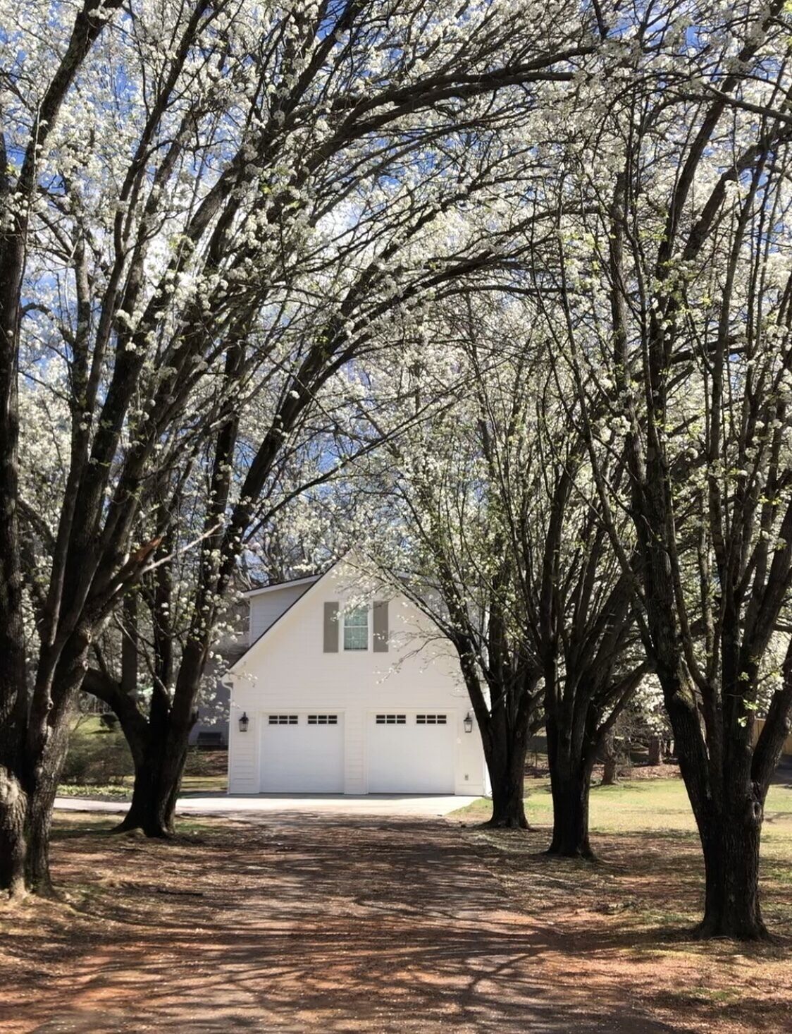 Suburban Studio in Prime Area on Large Quiet Lot- GSP Airport, Greer, Greenville