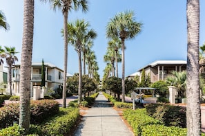 A residential street lined with palm trees and houses, featuring a clear sky and a pathway.