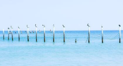 Cozy 4-bedroom house with private pool, hot tub located in 4x4 section