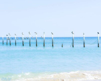 Cozy 4-bedroom house with private pool, hot tub located in 4x4 section