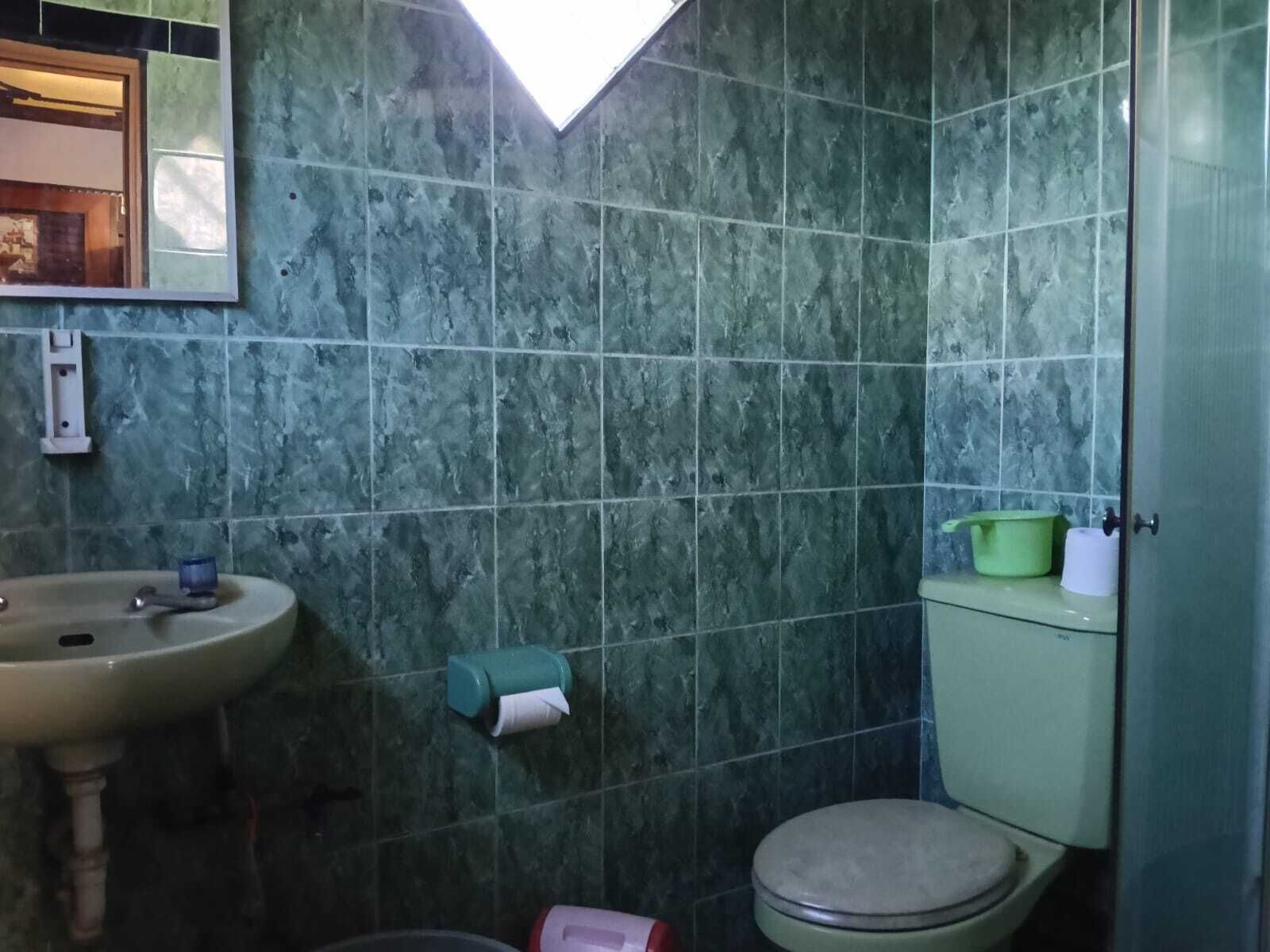 Une salle de bain avec des carreaux de marbre vert, un lavabo, des toilettes et un miroir.