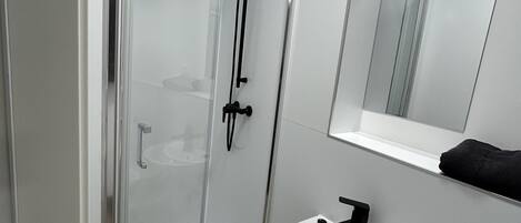 Shower, towels, toilet paper