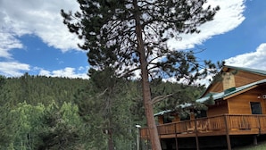 A cabin with a wooden exterior, a porch, and a view of a forested hillside. - House of The Rising Sun (Bailey)