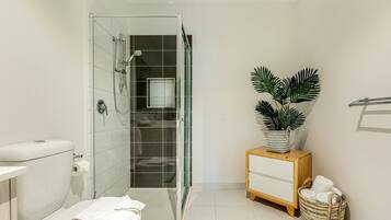 Shower, hair dryer, shampoo